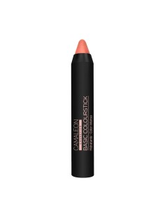 Camaleon Barra Labial Basic Nude Mate 4g
